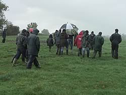 Setting off to see the cattle